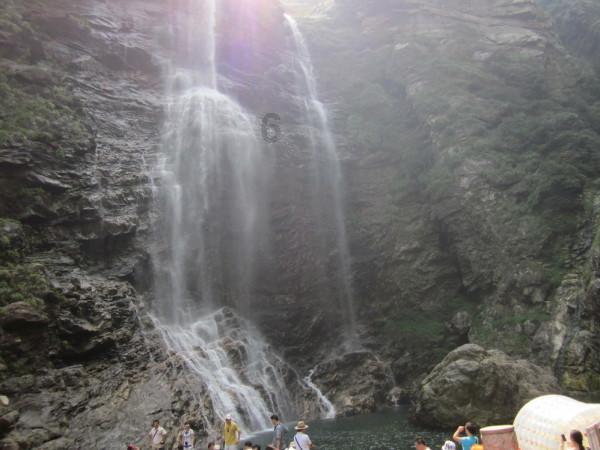 米乐米可森林大冒险